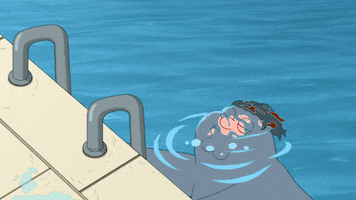 Swimming Pool Peter GIF by Family Guy