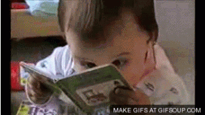 Reading Studying GIF - Find & Share on GIPHY