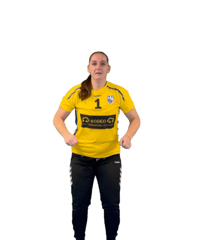 Handball Goalkeeper Sticker by HV Huissen