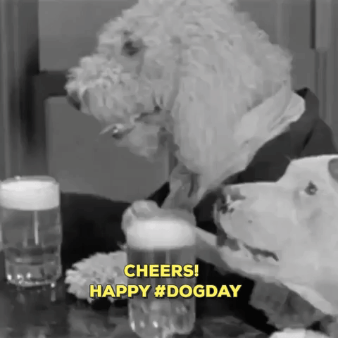 warnerarchive cheers warner archive dogday dogville GIF