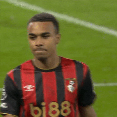 Premier League Thumbs Down GIF by AFC Bournemouth