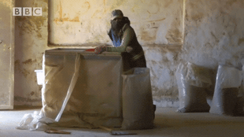 yallafeed  GIF