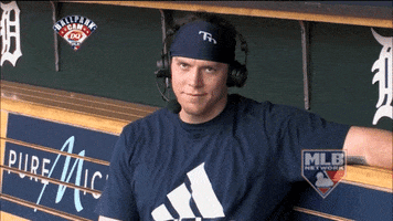 Tampa Bay Rays Idk GIF by MLB