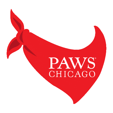 Giving Day Sticker by PAWS Chicago