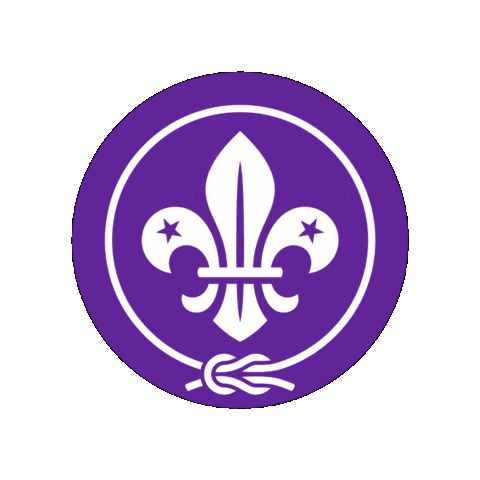 Scout Sticker by World Scouting
