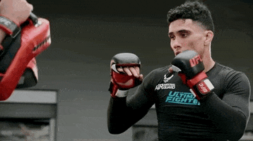 Episode 7 Mma GIF by UFC