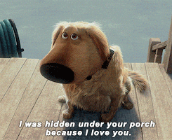 Dog Picture Gifs Get The Best Gif On Giphy