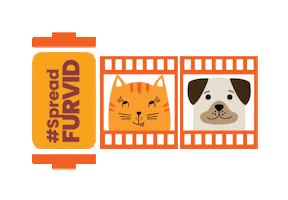 Cats Dogs Sticker by Wiggles India