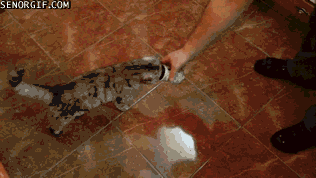 giphy.gif?cid=790b7611deb68201fed3f19673
