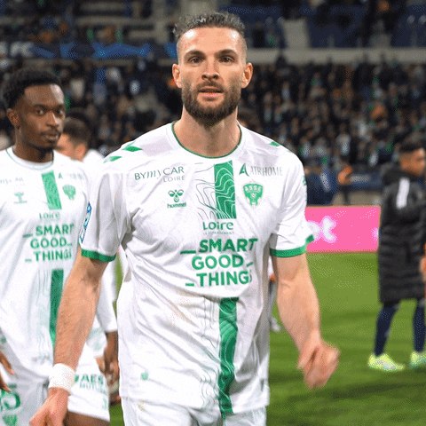 Ligue 2 Win GIF by AS Saint-Étienne