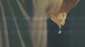 New Music Carolina GIF by Marcus King