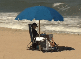 Joe Biden Beach GIF by GIPHY News