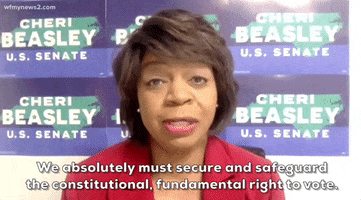 Right To Vote Voting Rights GIF by GIPHY News