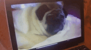 200.gif