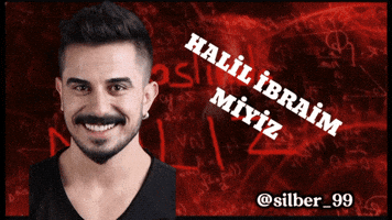 Silber99 GIF