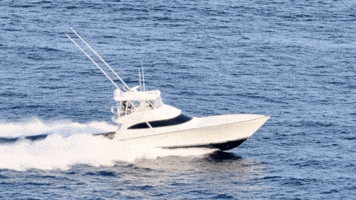 Viking Gulfstream GIF by GEMLUX