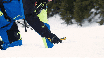 Backcountry Access GIF