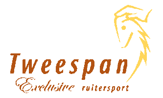 Tweespan Ruitersport Sticker