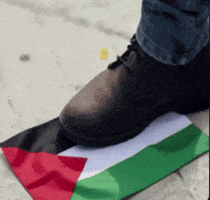 Free Palestine GIF
