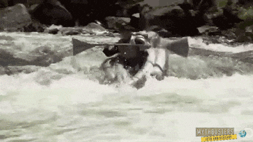 Rafting GIFs - Find & Share on GIPHY