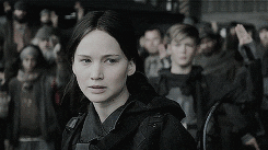 mockingjay