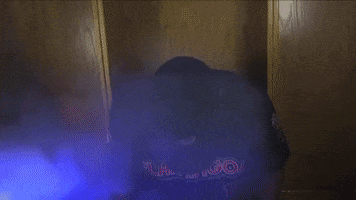 Florence Flamingos GIF