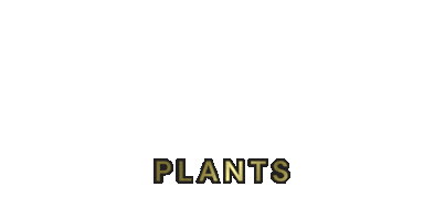Plants Sticker by Mike Stretch