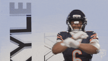 Shush Gordon GIF by Chicago Bears