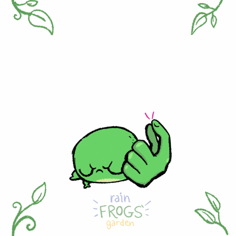 Rain Frog Love GIF