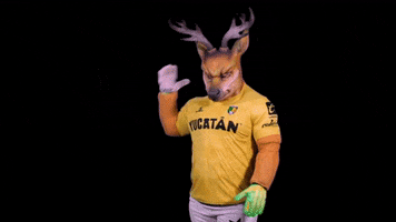 Yucatan Primerosoyvenado GIF by Venados FC