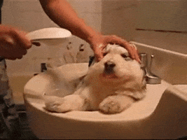 bath bathing GIF