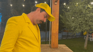Scotia Chile GIF