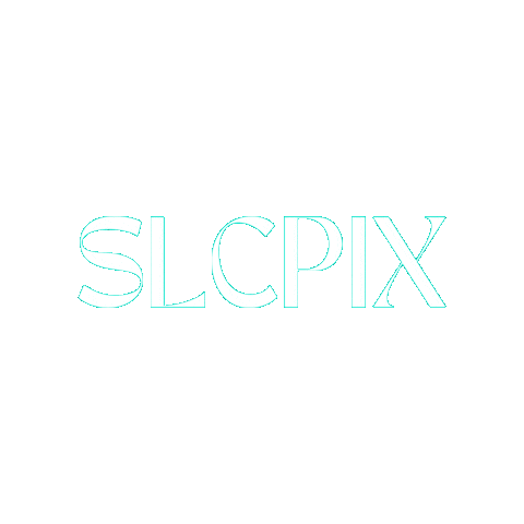 slcpix Sticker