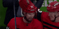 Red Wings Smile GIF by Bally Sports Detroit