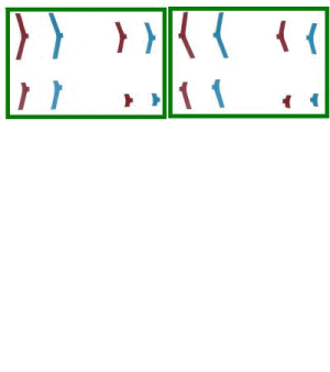 cell