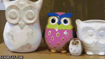 Along Here animated GIF