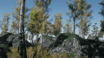 Trees GIF