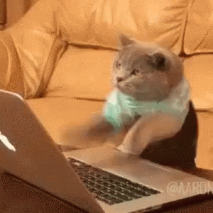 Work Hard GIF by memecandy - Find & Share on GIPHY