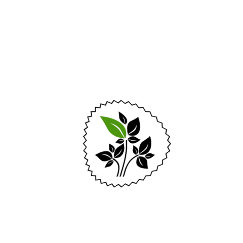 Design Graphics Sticker by Absolutefreshness