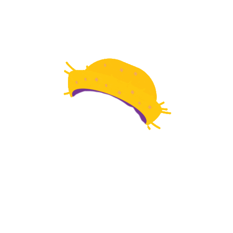 Arraia Sticker by PopHaus