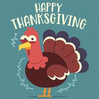 Thanksgiving GIFs - Find & Share on GIPHY
