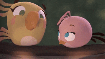 stella GIF by Angry Birds