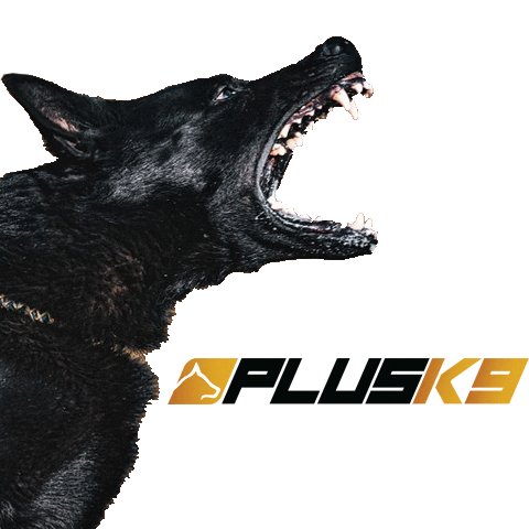 PlusK9 Sticker
