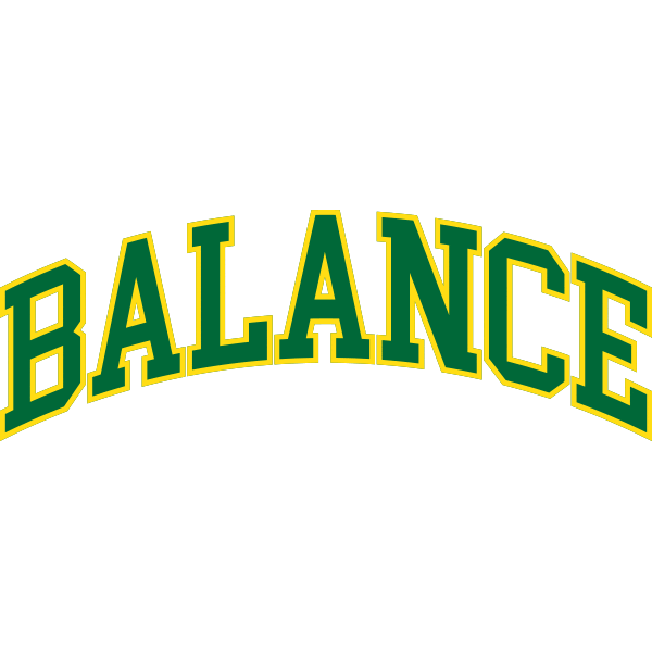 Bricks and Wood Sticker