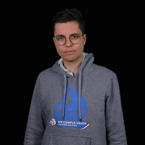 RCDS S-H GIF