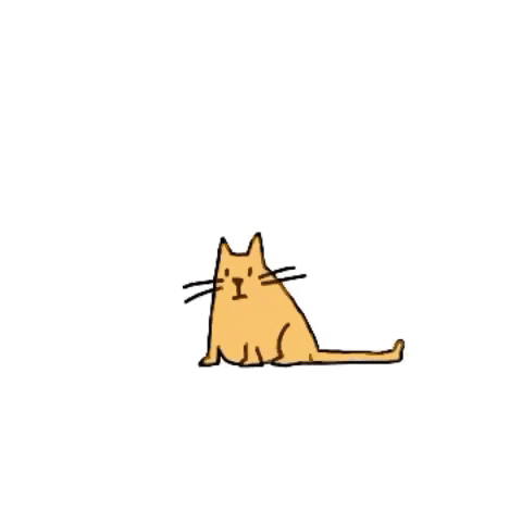 Cats GIF by LizaDonnelly
