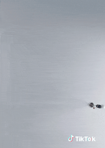 Regard Gifs Get The Best Gif On Giphy