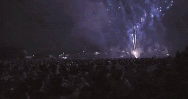 Princeton celebrate fireworks princeton princeton university GIF