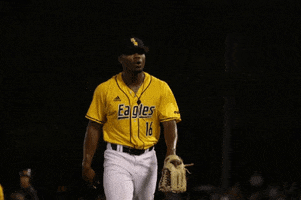 SouthernMissAthletics baseball lets go pitcher strikeout GIF
