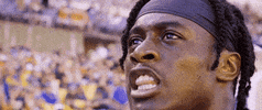 Excited Lets Go GIF by Pitt Panthers